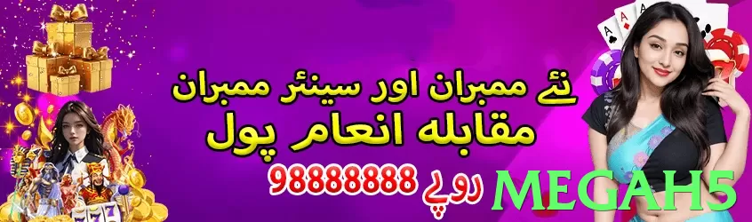 megah5 Pakistan - 3